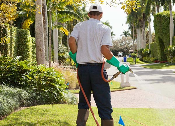About Casey IL Pest Control